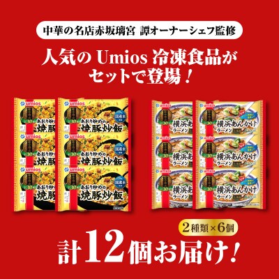 Umios 冷凍食品 あおり炒めの焼豚炒飯&横浜あんかけラーメン詰合せセット 045-006