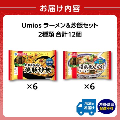 Umios 冷凍食品 あおり炒めの焼豚炒飯&横浜あんかけラーメン詰合せセット 045-006