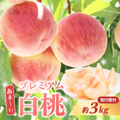 ≪先行受付≫ 甘～い プレミアム白桃 約3kg【2026年8月中旬頃～発送予定】 060-014