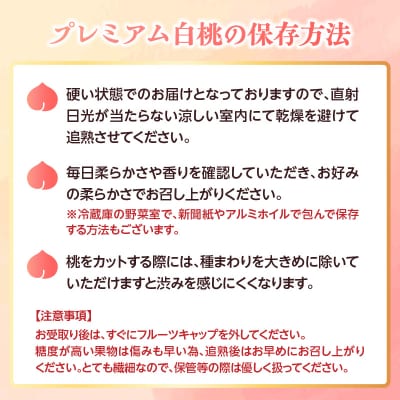 ≪先行受付≫ 甘～い プレミアム白桃 約3kg【2026年8月中旬頃～発送予定】 060-014