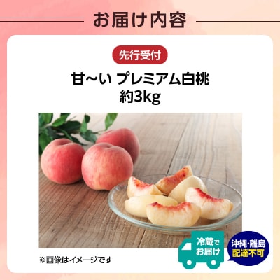 ≪先行受付≫ 甘～い プレミアム白桃 約3kg【2026年8月中旬頃～発送予定】 060-014