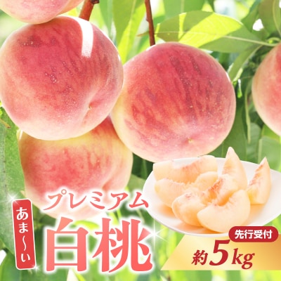≪先行受付≫ 甘～い プレミアム白桃 約5kg【2026年8月中旬頃～発送予定】 060-015