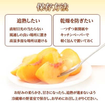 《先行受付》★黄桃(品種おまかせ)★ 約2kg 秀品 【8月中旬頃～順次発送予定】 063-003