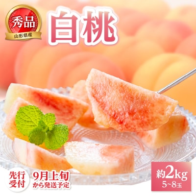 《先行受付》★白桃(品種おまかせ)★ 約2kg 【2025年9月上旬頃～発送予定】 063-002