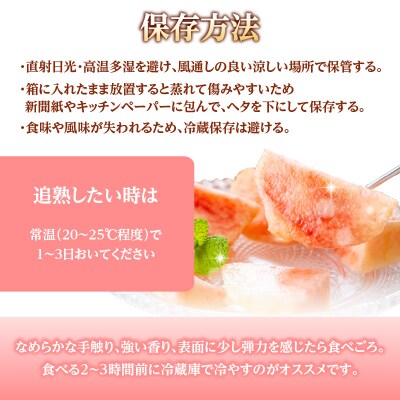 《先行受付》★白桃(品種おまかせ)★ 約2kg 【2025年9月上旬頃～発送予定】 063-002