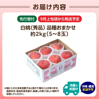 《先行受付》★白桃(品種おまかせ)★ 約2kg 【2025年9月上旬頃～発送予定】 063-002