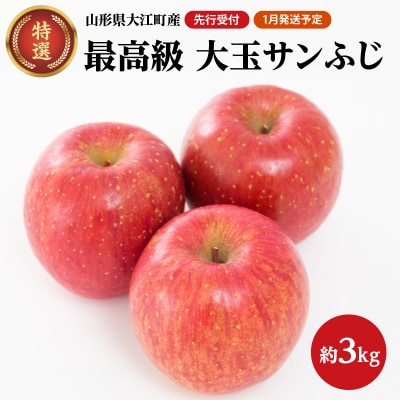 《先行受付》【2026年1月発送予定】 特選大玉サンふじ約3kg 028-027