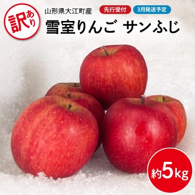 《先行受付》【2027年3月発送予定】 訳あり 雪室りんごサンふじ 約5kg 028-033