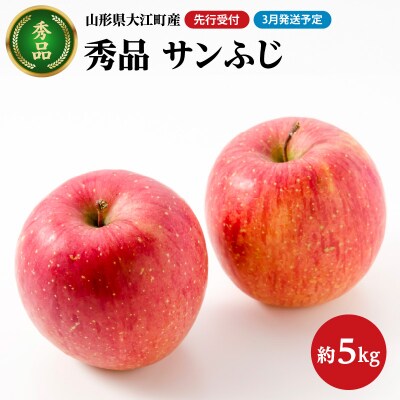 《先行受付》【2027年3月発送予定】 サンふじ約5kg・秀品【大江町産・大地農産】 028-034