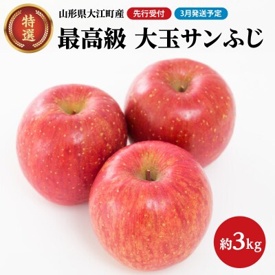 《先行受付》【2027年3月発送予定】 特選大玉サンふじ約3kg 028-035