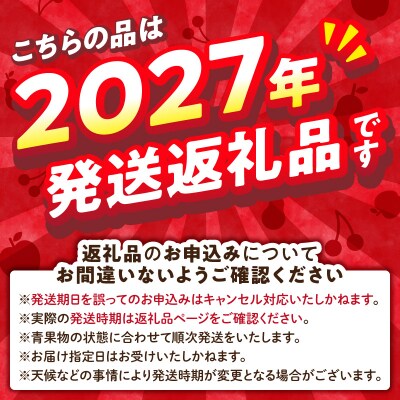《先行受付》【2027年3月発送予定】 特選大玉サンふじ約3kg 028-035