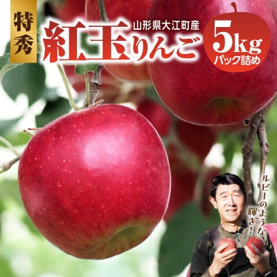 ≪先行受付≫紅玉りんご5kg 18～25個 特秀【2026年10月下旬～順次発送予定】057-003