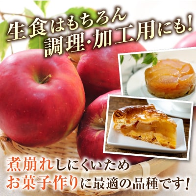 ≪先行受付≫紅玉りんご5kg 18～25個 特秀【2026年10月下旬～順次発送予定】057-003