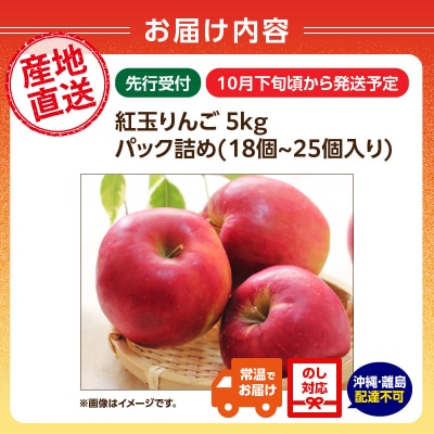≪先行受付≫紅玉りんご5kg 18～25個 特秀【2026年10月下旬～順次発送予定】057-003