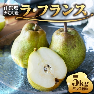 ≪先行受付≫ラフランス 5kg 14個～20個【11月上旬～順次発送予定】 057-002