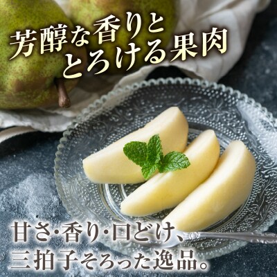 ≪先行受付≫ラフランス 5kg 14個～20個【11月上旬～順次発送予定】 057-002