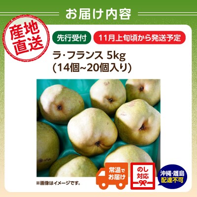 ≪先行受付≫ラフランス 5kg 14個～20個【11月上旬～順次発送予定】 057-002