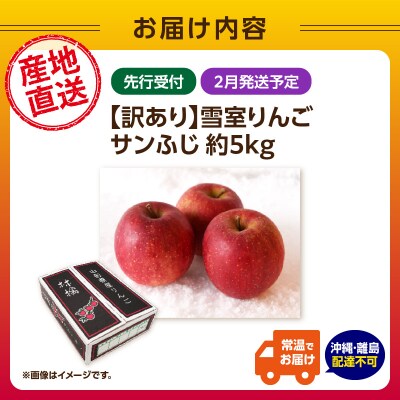 《先行受付》【2027年2月発送予定】 訳あり 雪室りんごサンふじ 約5kg 028-029