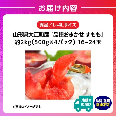 山形県大江町産 品種おまかせ すもも【2026年8月上旬～順次発送予定】 004-012