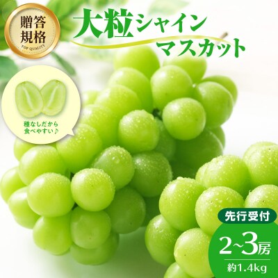 《先行受付》贈答規格シャインマスカット約1.4kg【9月中旬頃～順次発送予定】 024-003