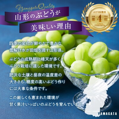 《先行受付》贈答規格シャインマスカット約1.4kg【9月中旬頃～順次発送予定】 024-003