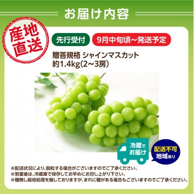 《先行受付》贈答規格シャインマスカット約1.4kg【9月中旬頃～順次発送予定】 024-003