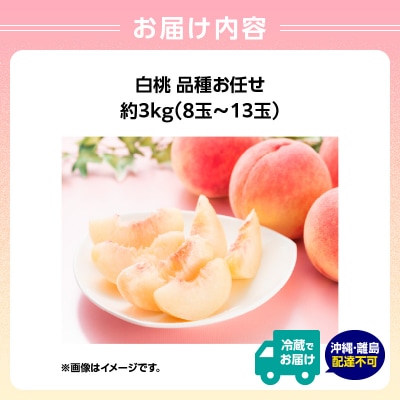 白桃 品種お任せ 3kg(8玉～13玉)【道の駅おおえ】 004-013