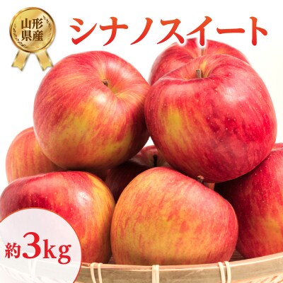《先行受付》シナノスイート約3kg 【2026年10月上旬頃～発送予定】 001-106