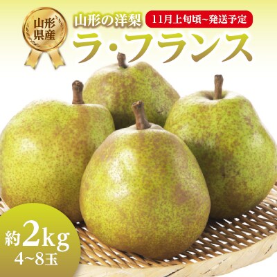 《先行受付》ラフランス 約2kg(4～8玉) 【2026年11月上旬頃～発送予定】 001-103