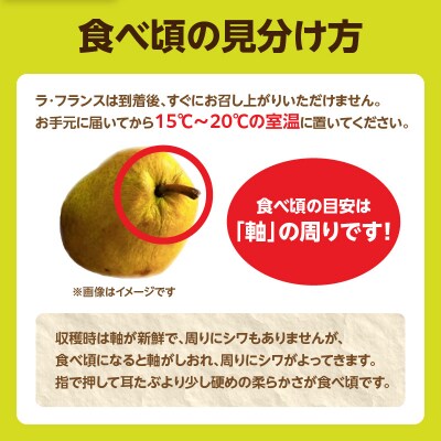 《先行受付》ラフランス 約2kg(4～8玉) 【2026年11月上旬頃～発送予定】 001-103