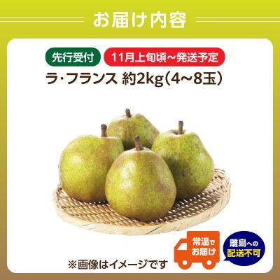 《先行受付》ラフランス 約2kg(4～8玉) 【2026年11月上旬頃～発送予定】 001-103