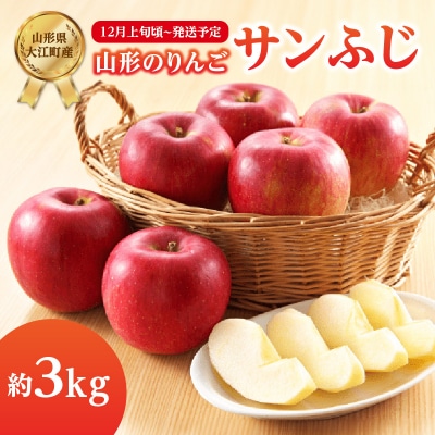《先行受付》サンふじ約3kg 【2025年12月上旬頃～発送予定】 001-104