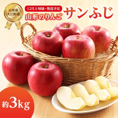 《先行受付》サンふじ約3kg 【2026年12月上旬頃～発送予定】 001-104