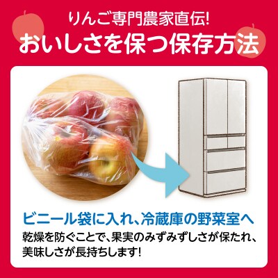 《先行受付》サンふじ約3kg 【2026年12月上旬頃～発送予定】 001-104