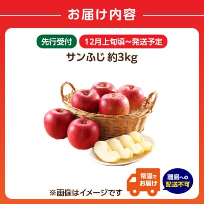 《先行受付》サンふじ約3kg 【2025年12月上旬頃～発送予定】 001-104