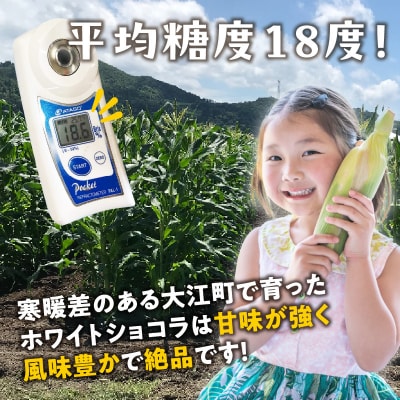 《先行受付》朝採りホワイトショコラ約5kg 【2026年9月上旬～発送予定】 027-006
