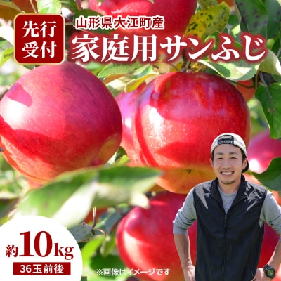 《先行受付》大江町産 家庭用サンふじ約10kg 36玉前後【11月下旬発送予定】067-001