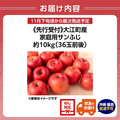 《先行受付》大江町産 家庭用サンふじ約10kg 36玉前後【11月下旬発送予定】067-001