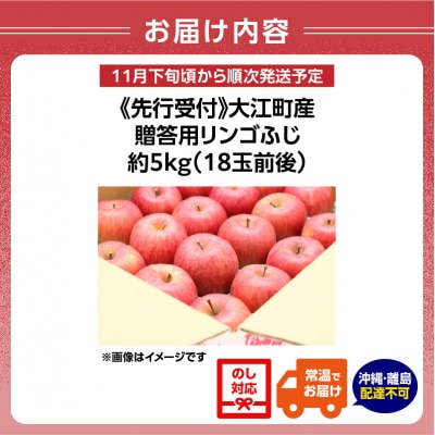 《先行受付》大江町産 贈答用リンゴふじ約5kg 18玉前後【11月下旬発送予定】067-004