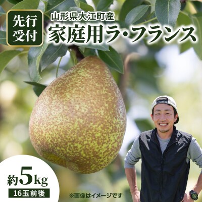 《先行受付》大江町産 家庭用ラフランス約5kg 16玉前後【11月中旬発送予定】067-005