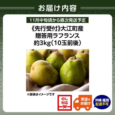 《先行受付》大江町産 贈答用ラフランス約3kg 10玉前後【11月中旬発送予定】067-007