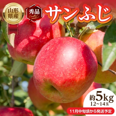 《先行受付》山形産「サンふじ」秀品 約5kg 約12～14玉【11月中旬～順次発送】 004-015