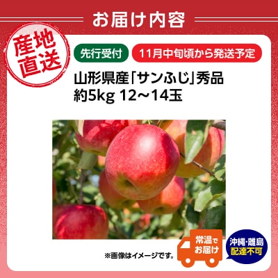 《先行受付》山形産「サンふじ」秀品 約5kg 約12～14玉【11月中旬～順次発送】 004-015