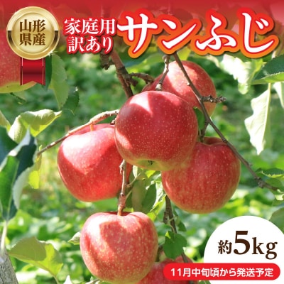 《先行受付》山形産 家庭用訳ありサンふじ約5kg【2025年11月中旬頃～順次発送】 004-018