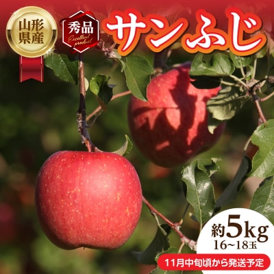 《先行受付》山形産「サンふじ」秀品 約5kg 約16～18玉【11月中旬～順次発送】 004-016