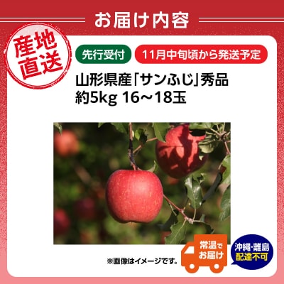 《先行受付》山形産「サンふじ」秀品 約5kg 約16～18玉【11月中旬～順次発送】 004-016