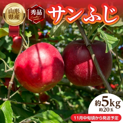 ssttR`YuTӂvGi 5kg 20ʁy11{`z 004-017