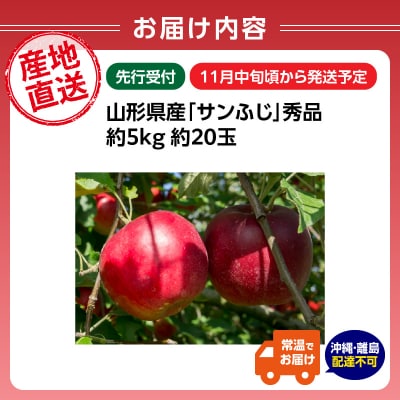 《先行受付》山形県産「サンふじ」秀品 約5kg 約20玉【11月中旬頃～順次発送】 004-017