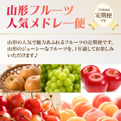 山形フルーツ人気メドレー便【定期便全5回】 060-T11
