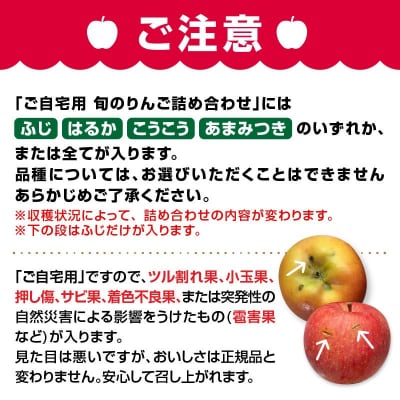 《先行受付》訳あり 旬のりんご詰合せ約10kg【2026年12月上旬頃～発送予定】 015-053